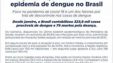 Dengue200422